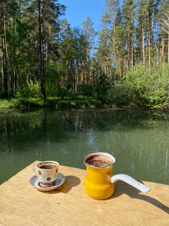 Forest And Lake Borovoje Exteriér fotografie