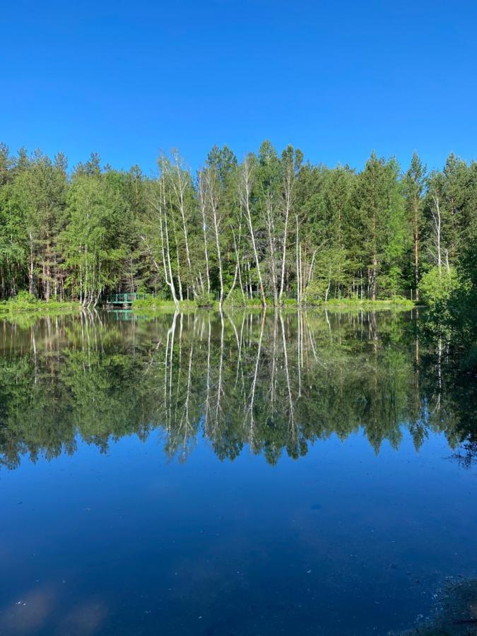 Forest And Lake Borovoje Exteriér fotografie