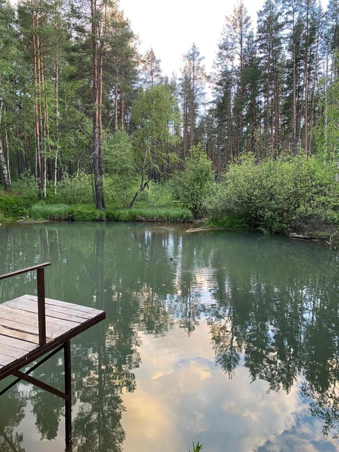 Forest And Lake Borovoje Exteriér fotografie